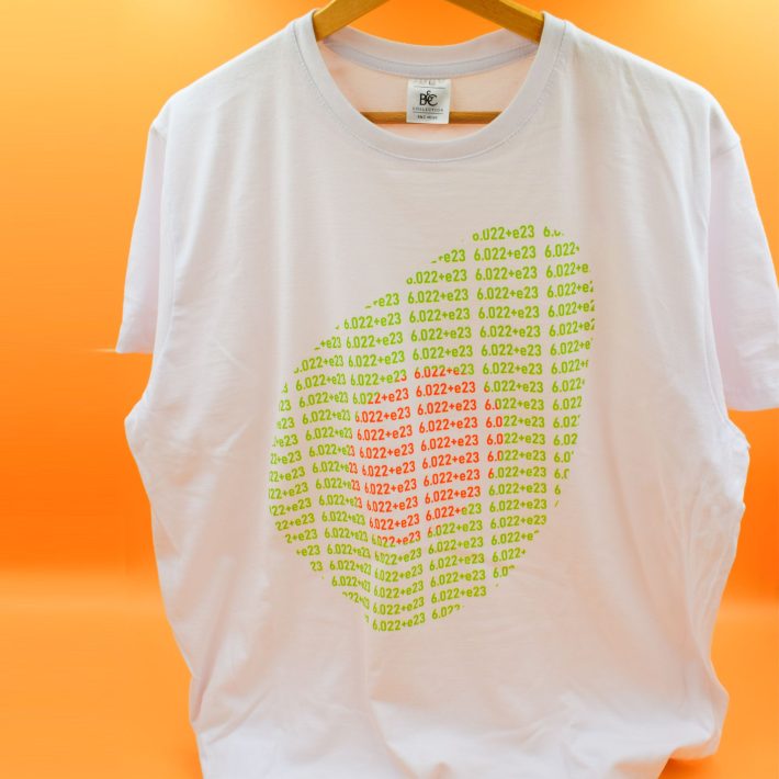 koszulka męska avocado